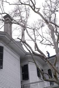 Кадр Загадочная история Бенджамина Баттона