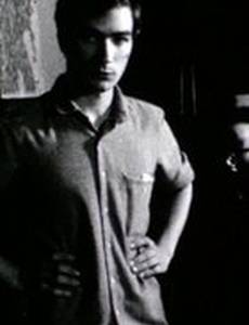 The Language of the Fox