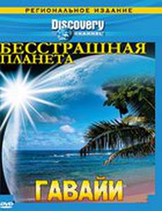 Discovery: Бесстрашная планета
