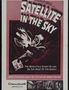 Солнечный спутник