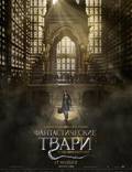 Постер из фильма "Фантастические твари и где они обитают" - 1
