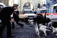 Кадр 101 далматинец