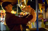 Кадр Бэйб: Четвероногий малыш