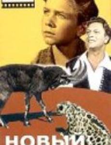 Новый аттракцион