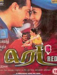 Борец за справедливость