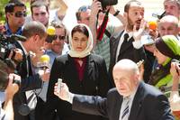 Кадр Лимонное дерево