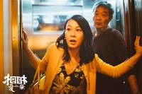 Кадр Любовное образование