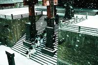 Кадр Белая месть