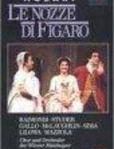 Женитьба Фигаро