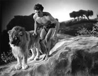 Кадр Король джунглей