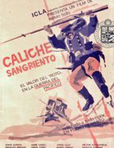 Кровавое пятно