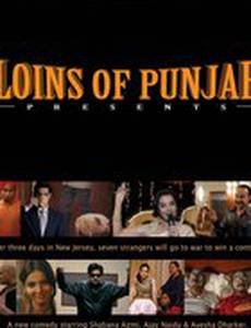 Поясница подарков Пенджаба