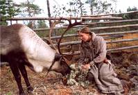 Кадр Кукушка