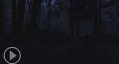 Вирусный ролик №2