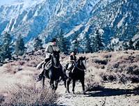 Кадр Отстрел