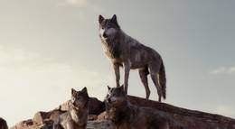 Кадр из фильма "Книга джунглей" - 2