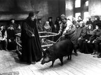 Кадр Час свиньи