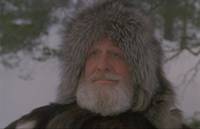 Кадр И на камнях растут деревья