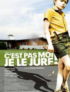 Клянусь, это не я