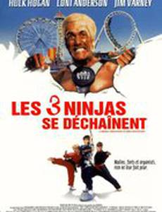 Три ниндзя: Жаркий полдень на горе Мега