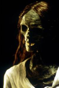 Кадр Отзвуки эха