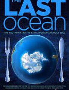 The Last Ocean