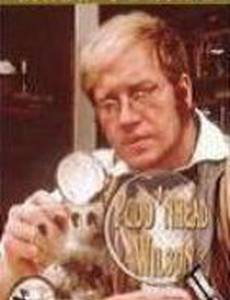 Простофиля Вильсон