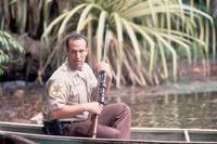 Кадр Дикость 2 (видео)