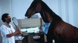 Кадр из фильма "Удачное наследство" - 2