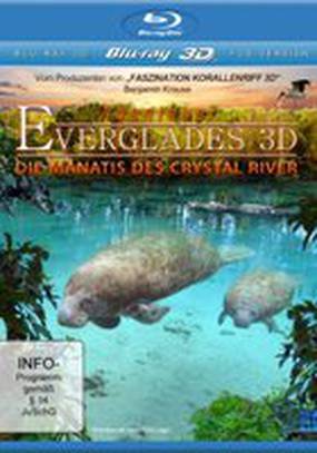 Приключение в Эверглэйдс (видео)