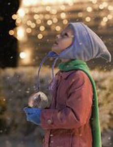 Ноябрьское Рождество