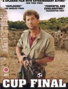 Финал кубка