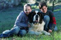 Кадр Бетховен 5 (видео)