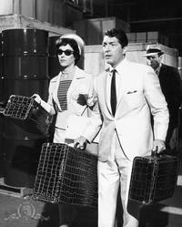 Кадр Игрушки на чердаке