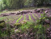 Кадр Tales from the Green Valley