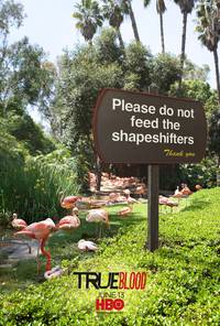 Постер Настоящая кровь