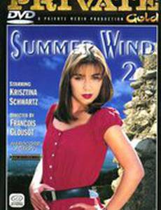 Летний ветер 2 (видео)