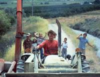 Кадр Свободные