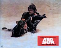 Кадр Красное солнце