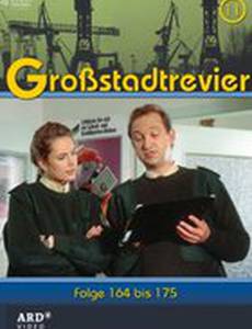 Полицейский участок большого города