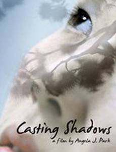 Casting Shadows