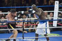 Кадр Рокки Бальбоа