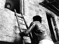 Кадр Птица с хрустальным оперением