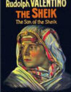 Rudolph Valentino and His 88 American Beauties