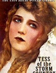 Тэсс из Страны бурь