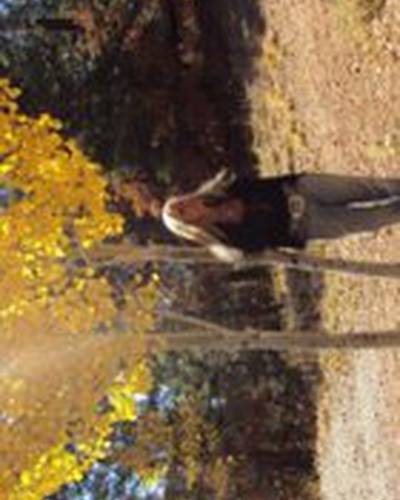 Кэтлин Деторо фото