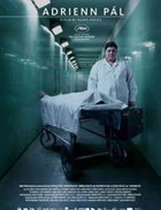 Пал Адриенн