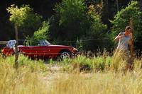 Кадр Неугасающий