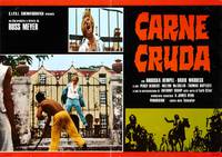 Постер Черная змея