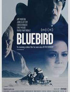 Синяя птица